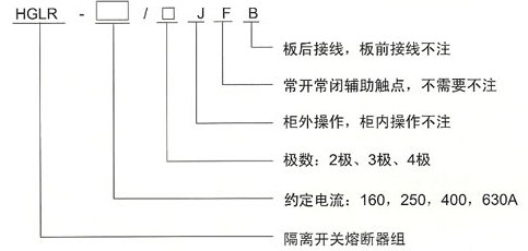 HGLR隔离开关熔断器组型号及含义